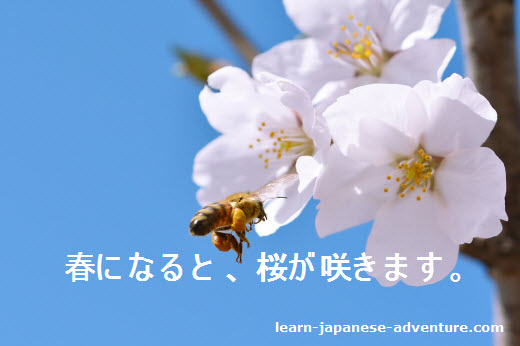 japanese-conditional-form-to-sentence-learn-japanese-online