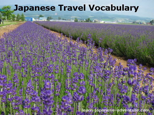 Japanese Travel Words: kankouchi - Hokkaido Lavender Farm